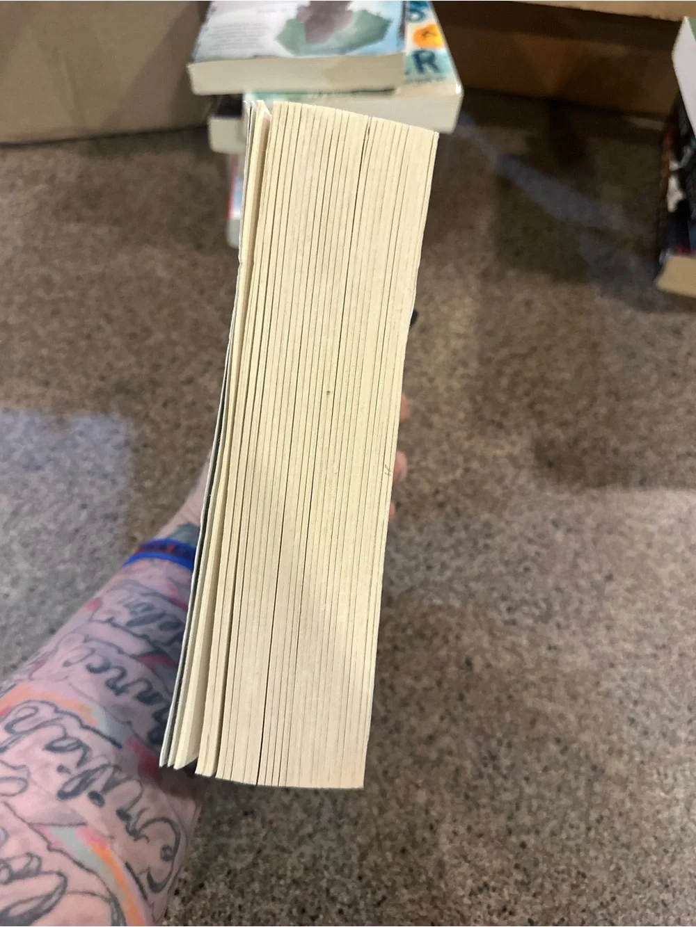 A Crown of Ivy and Glass - Blue Paperback